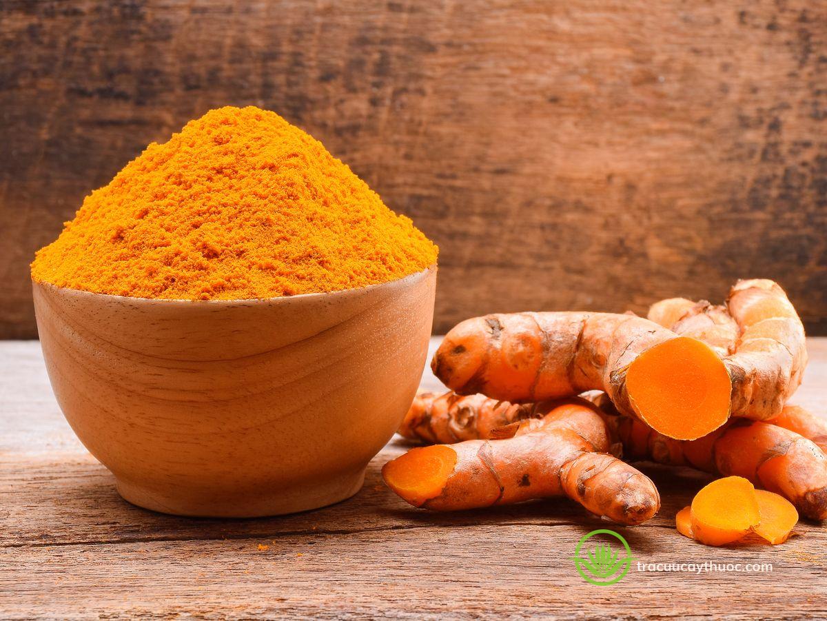 Nghệ - Tra cứu Cây Thuốc